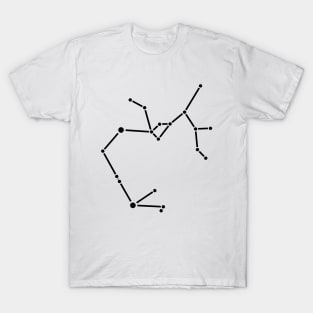 Star Pattern - Sagittarius (Black) _009 T-Shirt